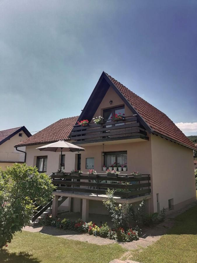 Hotel Putnicka kuca kod Dragane Bajina Basta Exterior foto