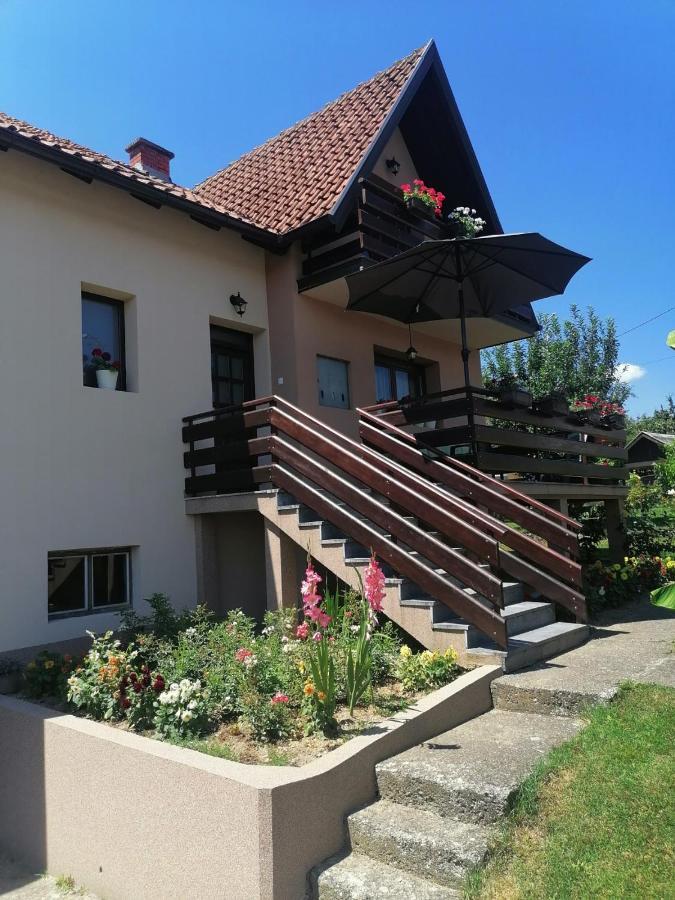 Hotel Putnicka kuca kod Dragane Bajina Basta Exterior foto